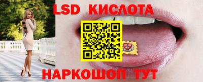 шишки Можга
