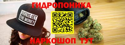 шишки Можга
