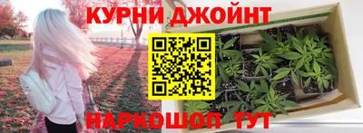 шишки Можга