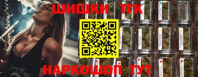 шишки Можга