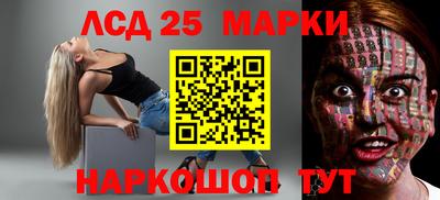 шишки Можга