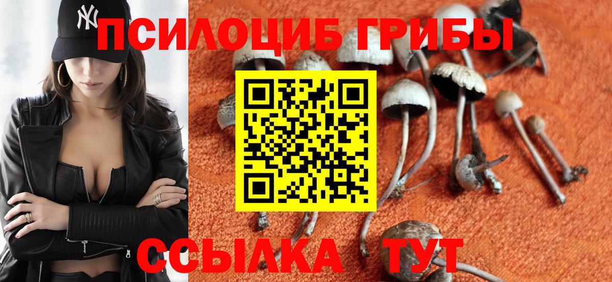 Галлюциногенные грибы Magic Shrooms  Вход с VPN  даркнет сайт  Щёлково 