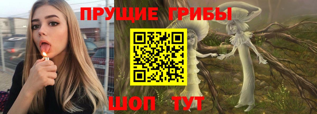 Галлюциногенные грибы Psilocybe Щёлково